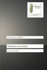 Illusions envolees af Mardochee Aubin Tamafo