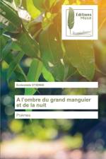 l'ombre du grand manguier et de la nuit af Ecclesiaste Etienne