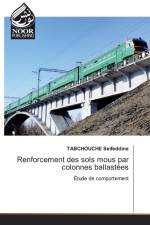 Renforcement des sols mous par colonnes ballastees af Tabchouche Seifeddine