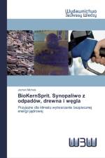 BioKernSprit. Synopaliwo z odpadow, drewna i węgla af Jochen Michels