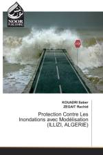 Protection Contre Les Inondations avec Modelisation (ILLIZI, ALGERIE) af Kouadri Saber