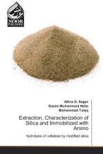 Extraction, Characterization of Silica and Immobilized with Amino af Mohammad Talaq