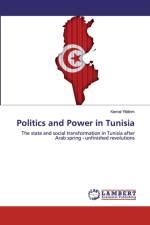 Politics and Power in Tunisia af Kemal Yildirim