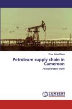 Petroleum supply chain in Cameroon af Enow Godwill Baiye