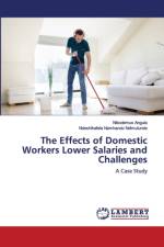 Effects of Domestic Workers Lower Salaries and Challenges af Nikodemus Angula