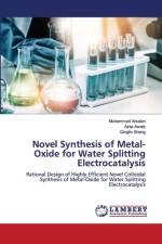 Novel Synthesis of Metal-Oxide for Water Splitting Electrocatalysis af Muhammad Arsalan