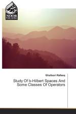 Study Of b-Hilbert Spaces And Some Classes Of Operators af Ghafoori Rafeeq