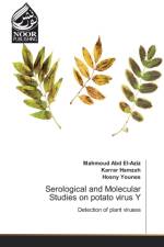 Serological and Molecular Studies on potato virus Y af Mahmoud Abd El-Aziz