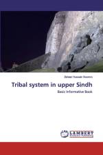 Tribal system in upper Sindh af Zaheer Hussain Soomro