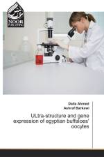 ULtra-structure and gene expression of egyptian buffaloes' oocytes af Dalia Ahmed