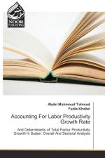Accounting For Labor Productivity Growth Rate af Fadia Khaliel