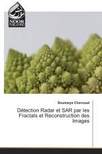 Detection Radar et SAR par les Fractals et Reconstruction des Images af Soumeya Cherouat