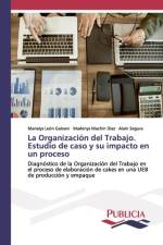 Organizacion del Trabajo. Estudio de caso y su impacto en un proceso af Marialys Leon Galvani
