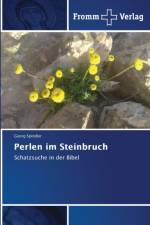 Perlen im Steinbruch af Georg Spindler
