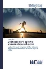 Dochodzenie w sprawie wyzwań stojących przed af Luleka Mkosi