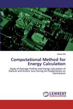 Computational Method for Energy Calculation af Karan Giri