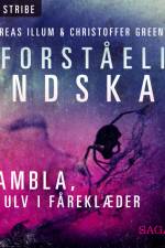 Uforståelig ondskab - NAMBLA, en ulv i fåreklæder af Andreas Illum