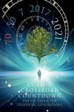 Cosmic Crossroad Countdown af Peter N Hofmann