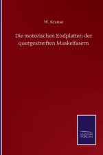 Die motorischen Endplatten der quergestreiften Muskelfasern af W Krause