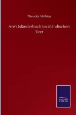 Are's Islanderbuch im islandischen Text af Theodor Moebius