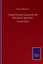 Vergleichende Grammatik der Slavischen Sprachen af Miklosich Franz Miklosich