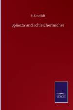 Spinoza und Schleichermacher af P Schmidt