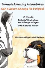 Can a Zebra Change its Stripes? af Juliette Winningham