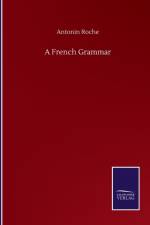 French Grammar af Antonin Roche