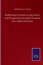 Rudimentary treatise on galvanism, and the general principles of animal and voltaic electricity