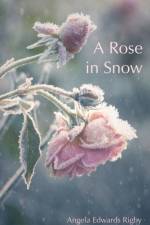 Rose in Snow af Angela Edwards Rigby