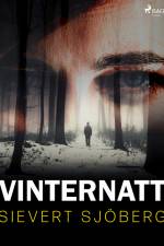 Vinternatt af Sievert Sjöberg