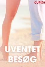 Uventet besøg – erotiske noveller