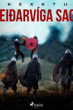 Heiðarvíga saga af Óþekktur