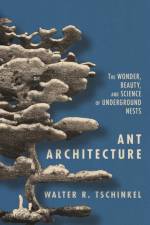 Ant Architecture af Walter R. Tschinkel