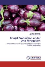 Brinjal Production under Drip Fertigation af Er Mayur Adawadkar