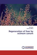 Regeneration of liver by ocimum canum af Alok Däsh