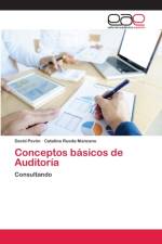 Conceptos basicos de Auditoria af David Pavón