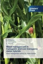 Weed management in transgenic and non transgenic maize hybrids af S Previna