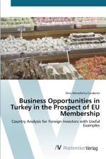 Business Opportunities in Turkey in the Prospect of EU Membership af Ebru Monelletta-Candemir