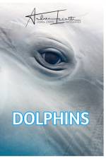 Dolphins af Andrea Izzotti