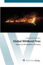 Global Wildland Fires af Judith Johanna Hoelzemann