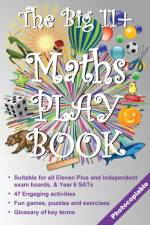 The Big 11+ Maths Play Book af The Armadillo's Pillow