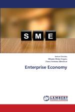 Enterprise Economy af Diana Andreea Mândricel