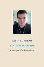 Sentiments positifs af Matthieu Meriot