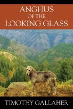 Anghus of the Looking Glass af Gallaher Timothy Gallaher