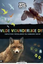 Vilde vidunderlige dyr af Elisabeth Kiertzner