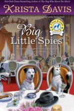 Big Little Spies