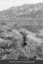 Where the Desert Meets the Mountains af PhD Ayala
