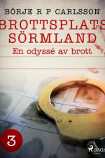 Brottsplats Sörmland. 3, En odyssé av brott
