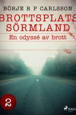 Brottsplats Sörmland. 2, En odyssé av brott